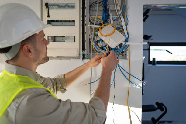 Best Electric Panel Repair  in Lake Jackson, TX